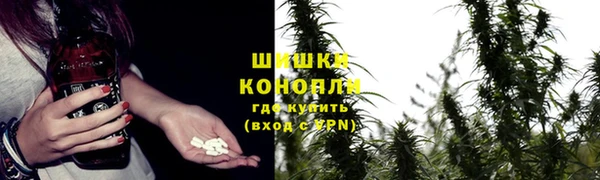 ECSTASY Покров
